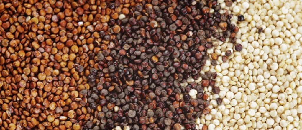 Chicchi di quinoa