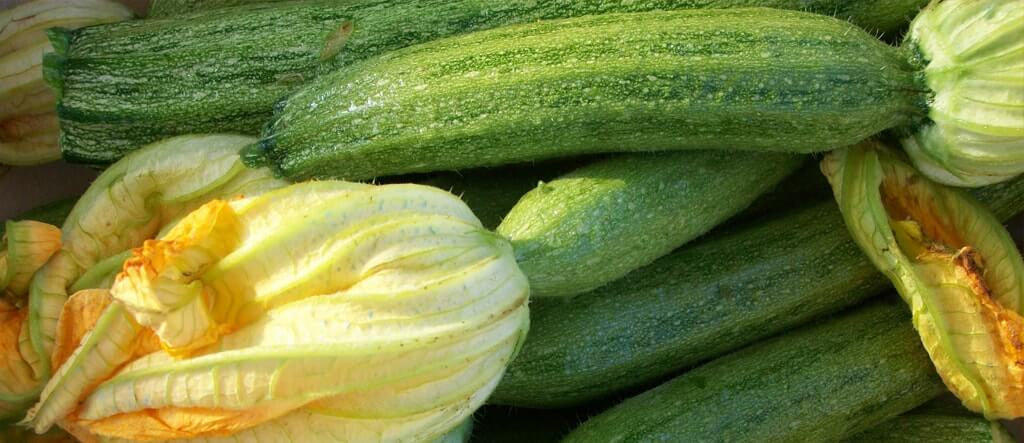 Zucchine crude con fiore