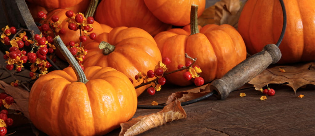 ζυμαρικά με κολοκύθα