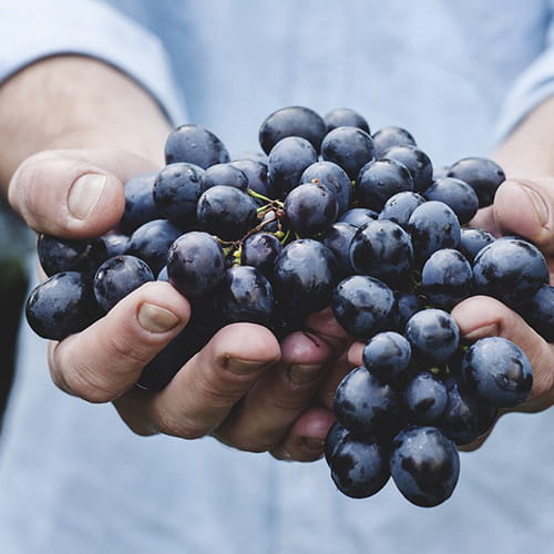 Health foods for eczema