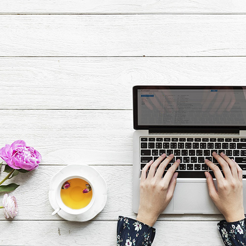 Person researching on an Apple laptop