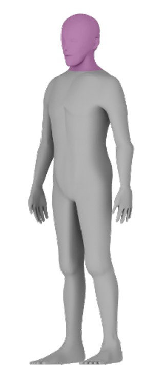 Head and Neck figure