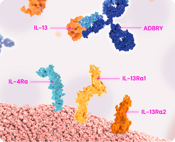 Mechanism Of Action | Adbry® (tralokinumab-ldrm) | HCP