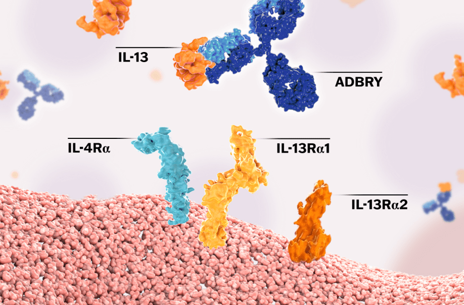 Adbry mechanism of action