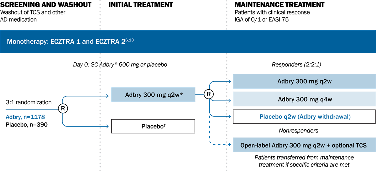 Flowchart illustrating the Adbry® monotherapy clinical trial process, including a 3:1 randomization for screening, initial treatment, and maintenance treatment phases.