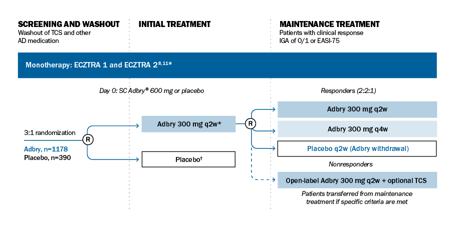 Flowchart illustrating the Adbry® monotherapy clinical trial process, including a 3:1 randomization for screening, initial treatment, and maintenance treatment phases.