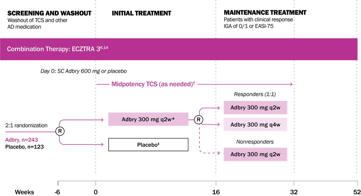 Flowchart showing the Adbry® combination therapy clinical trial, including a 2:1 randomization for screening, initial treatment, and maintenance treatment phases.