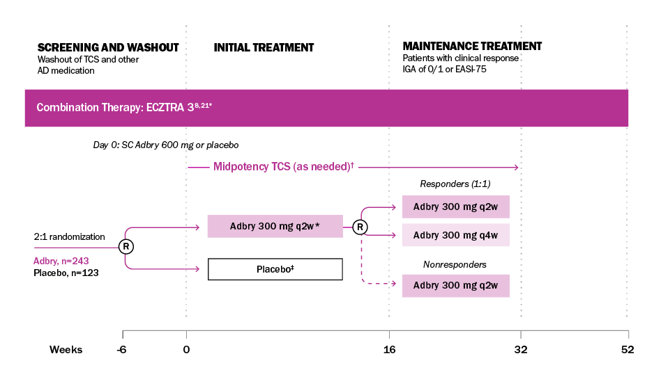 Flowchart showing the Adbry® combination therapy clinical trial, including a 2:1 randomization for screening, initial treatment, and maintenance treatment phases.