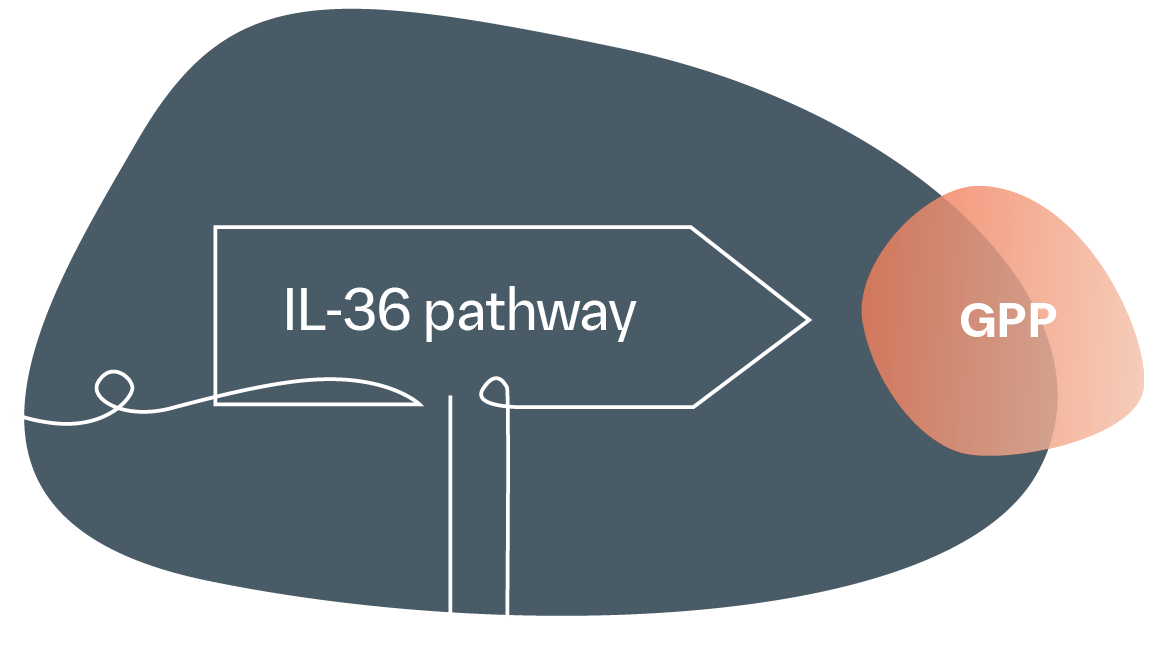 GPP linked to the IL-36 pathway