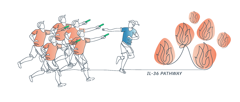 Illustration showing overreaction of immune cells in the IL-36 pathway leading to inflammation in GPP
