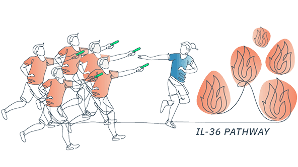 Illustration showing overreaction of immune cells in the IL-36 pathway leading to inflammation in GPP